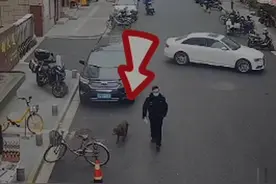 狗狗尾随民警到派出所蹭吃蹭喝！民警：饭量大，希望狗主人速来认领图片