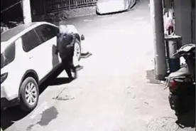 女子以为小区没监控故意划车，被邻居家监控拍个正着视频封面