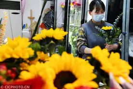 河北广平：新春到 鲜花俏图片