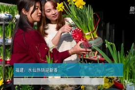 福建：水仙热销迎新春视频封面