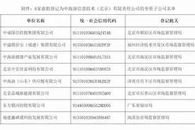 中海油打假八家孙公司图片
