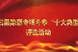一睹为快！广州市十大扫黑除恶典型案例出炉图片