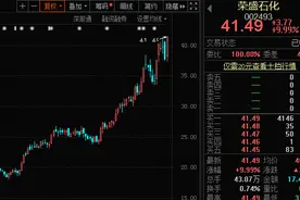 冷门板块蹿出大黑马！化工龙头30强名单出炉，北上资金和机构猛加仓，6股刚创下新高图片