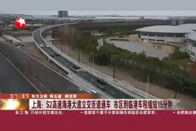 上海：S2高速海港大道立交匝道通车  市区到临港车程缩短15分钟视频封面