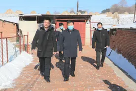 磐石市市长张守华深入烟筒山镇开展走访慰问图片