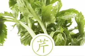 聆听汉字之美：《饮食字传》食材篇·芹图片
