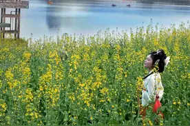 抢先打卡！清远这片油菜花海，惊艳全城图片