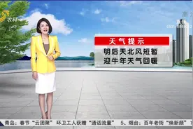 山东全省多云转晴，迎牛年天气回暖，鲁中山区、鲁东南最低温-2℃视频封面