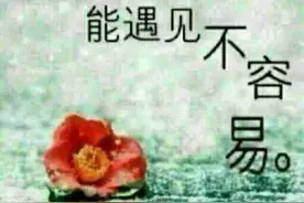 壹点之十八*嫂子（一）图片