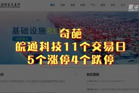 奇葩！这家公司11个交易日，5个涨停4个跌停视频封面