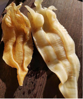 怎样吃鱼胶干 2026年鱼胶干怎么吃