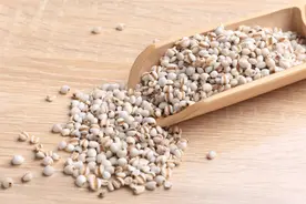薏苡仁，祛湿界大神，您了解吗？图片