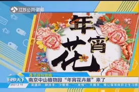 春节去哪？游玩指南来了！南京中山植物园“年宵花卉展”别错过视频封面