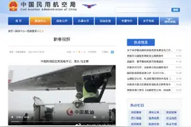 民航局局长冯正霖：民航创连续安全飞行125个月新纪录图片