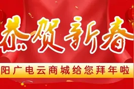 王朝东检查指导阜阳机场扩建工程、疫情防控及复工复产准备工作图片