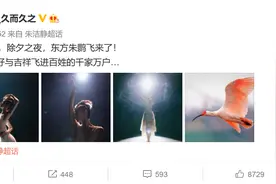 朱洁静谈《朱鹮》上春晚：七年磨一剑，上海歌舞团沉得住图片