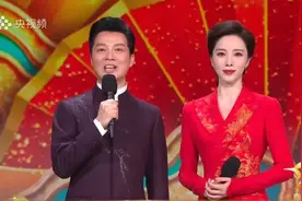 薇娅春晚首秀遭撞衫？还被张小斐抢了“带货一姐”头衔？图片
