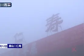成自泸高速仁寿段恢复通行图片