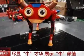 春晚创意表演《牛起来》尽显“牛”才华 展示“牛”颜值图片