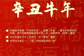 牛年只有354天！关于牛年，还有哪些知识点？图片