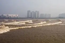狗刨作为人类最古老的泳姿，凭啥不能进奥运图片