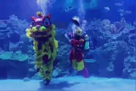 24秒｜“狮子”下水了！马来西亚水中舞狮庆新春佳节图片