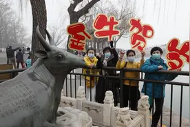 颐和园铜牛受热捧 游客合影期盼牛年好运图片