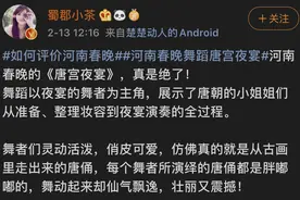 雅俗共赏！全国网友自发安利河南春晚图片