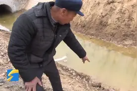 了不起的山东人｜两男童沟塘边玩耍不慎落水 济南放羊大爷路过紧急施救图片