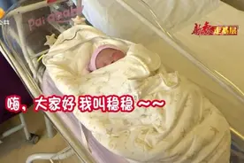 牛年第一批“牛宝宝”降生了图片