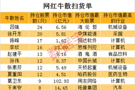 A股十大牛散：3位身价均超10亿，期货大佬押中医美龙头赚超2.4亿，持仓胜率近80%！“最忙牛散”调仓频繁，两大牛散同时盯上5股图片