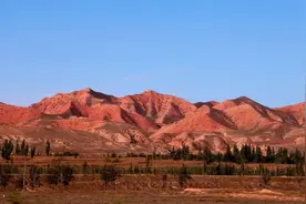 我的春节味道 | 念念不忘山海情 最忆家乡“西海固”图片