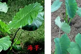 湖南疾控专家最新提醒图片