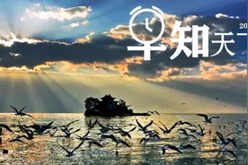 早知天下事丨2020年我国保险业保费收入4.5万亿元图片
