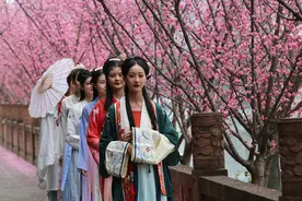 赏梅踏春过春节 成都望江楼公园上演“梅花雅集”图片