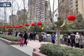 牛年到 来成都动物园找“牛”吧图片