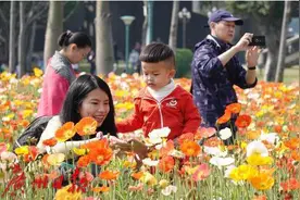 广州逼近28°C!!!过年你穿短袖了吗？假期余额已不足，冷空气也要来啦图片