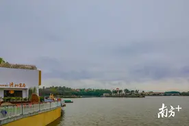 仙湖畔的书香与年味图片
