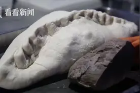 北极熊乐享4斤重定制水饺 海昌海洋公园欢乐多图片