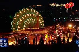 阳江鸳鸯湖公园的醉美夜色图片