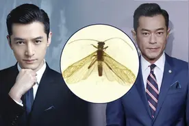 为什么用胡歌、古天乐给新物种命名？原来这么讲究图片