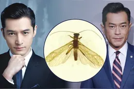 为什么用胡歌、古天乐给新物种命名？原来这么讲究图片