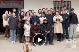 拍全家福小狗自动入画，网友：一家人就要整整齐齐图片