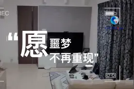 全球连线 | 日本福岛华侨华人回忆地震：我的腿却还在抖个不停……图片