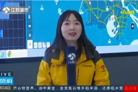 关注春运返程 江苏全省高速部分路段车多缓行 三处服务区接近饱和视频封面