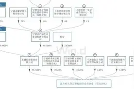 最新进展！银亿重整“延期付款”为哪般？重整投资人这样说图片