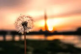 刘华｜理解万岁（小小说）图片