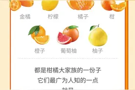 橘子、橙子、柚子……谁才是其中的水果之王？图片