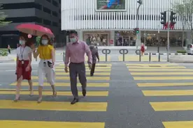 新增病例数居高不下，马来西亚延长多地“行动管制令”视频封面