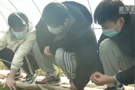 中国农大研究生：“我们在实验站过春节”视频封面